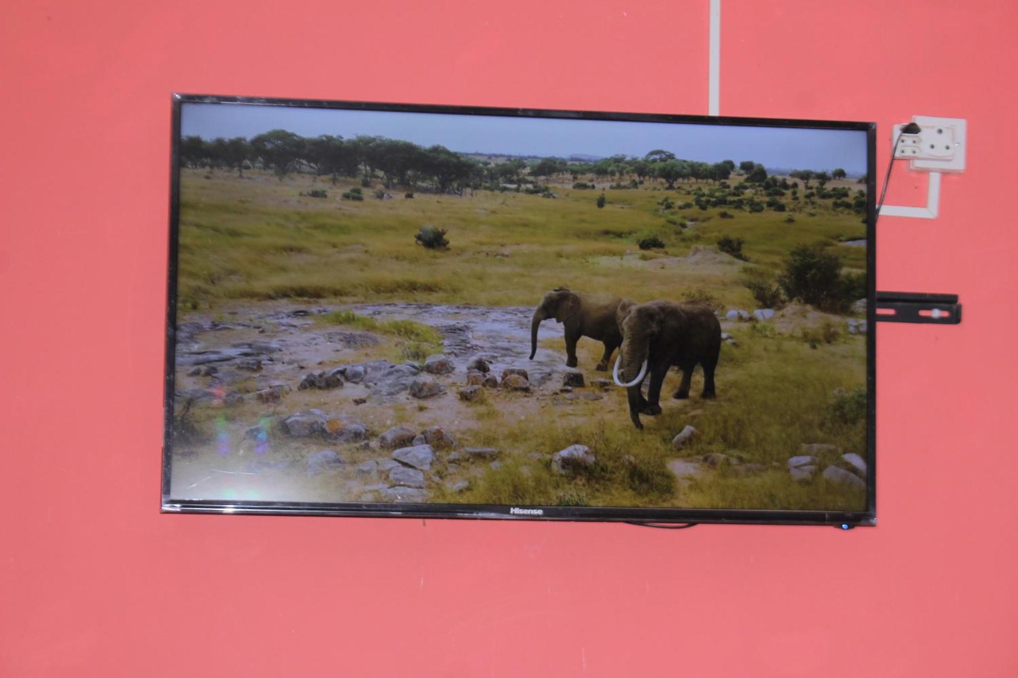 Global Guest House Kasane Luaran gambar